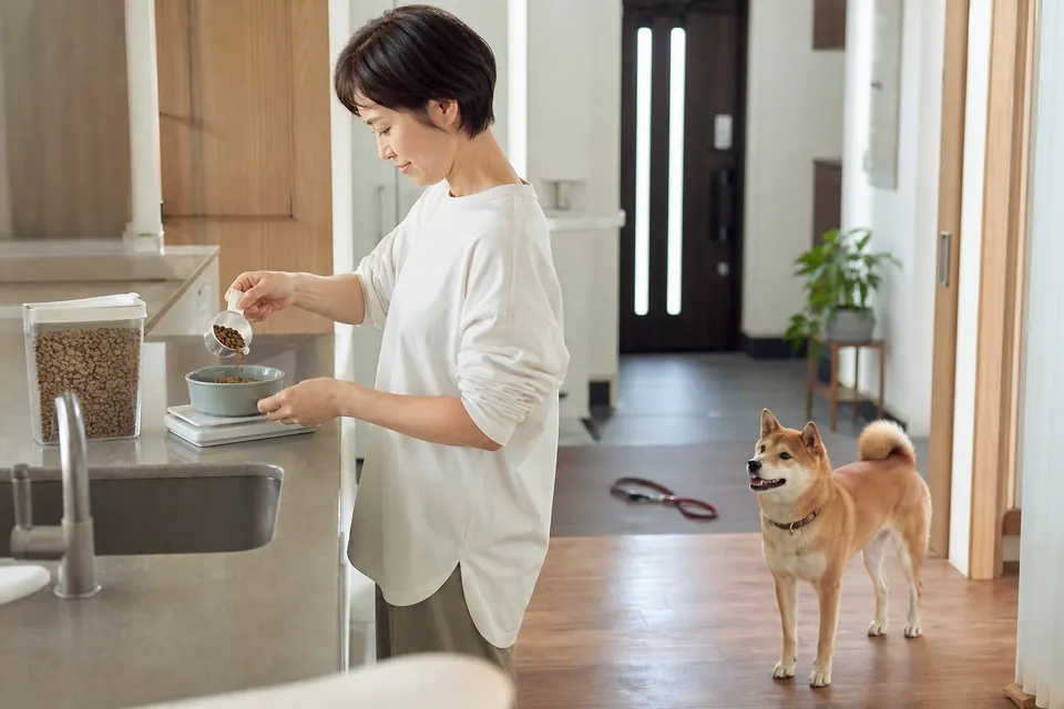 犬の飼い主がキッチンスケールでフードを量り犬の食事を準備している様子